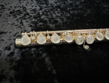 Photo Very Nice! Eastman EFL210 Flute in Silver Plate #14690405